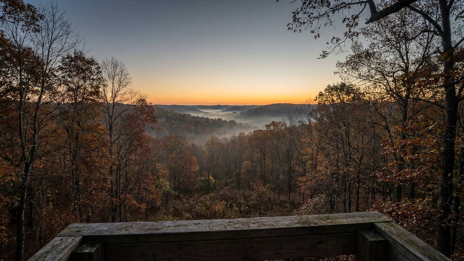A treestand view over autumn hardwoods at first light, ground fog in the hollows